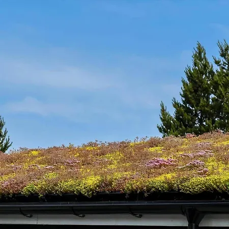 Bv173-blavand-ved-skoven-15 *