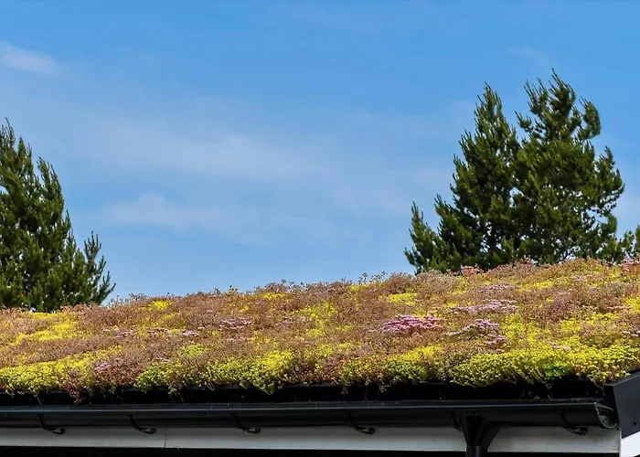 Bv173-blavand-ved-skoven-15 Ferienhaus